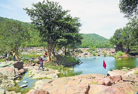 Damned again: Karnataka, TN slug it out over Mekedatu project