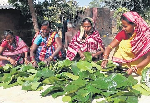 Tribal women engaged in stitching plates from Sal leaves | Express
