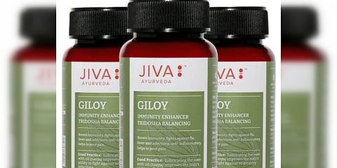 Giloy can be prepared and consumed in a variety of methods. (Photo| EPS)