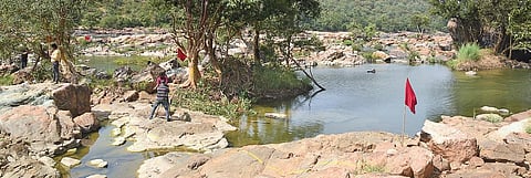 A forest department official said no proposal had been made for land diversion, neither was a detailed survey done | vinod kumar t