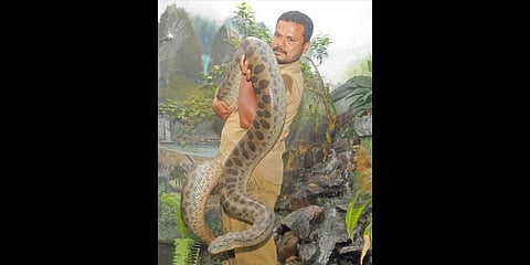 Reptile keeper AS Harshad