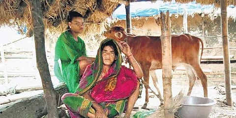 Minati's thatched house was blown away by the gusty winds during the cyclone that ravaged the State on May 26. (Photo | Express)