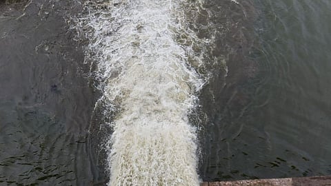 Representative image