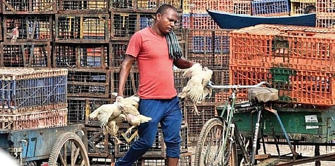 A view of the poultry market in Delhi on Wednesday, July 21. (Photo | Parveen Negi, Express)