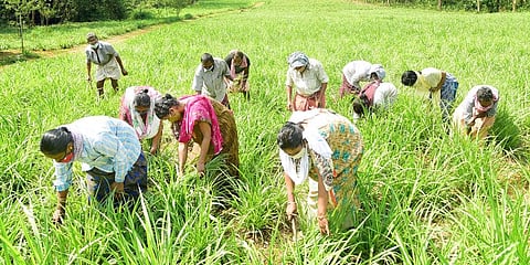 For representational purposes (Photo | EPS)