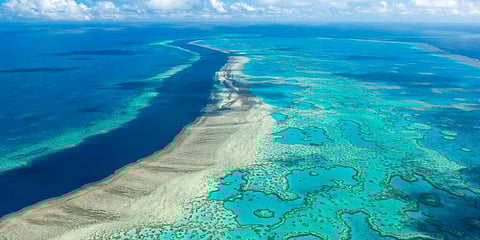 The Great Barrier Reef near the Whitsunday, Australia, region is viewed from the air (File Photo | AP)