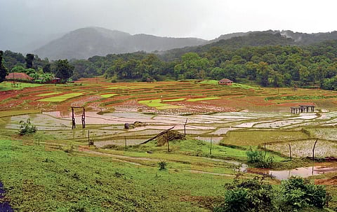 Scenic view of Sulavali village in Joida taluk of Uttara Kannada district | D Hemanth