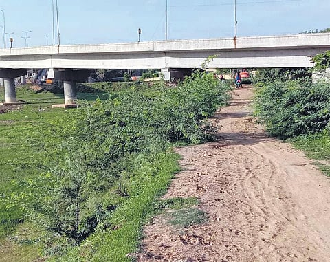 Walkway around the Korattur lake has been neglected by officials | Express