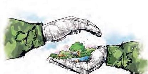 Image used for representation.