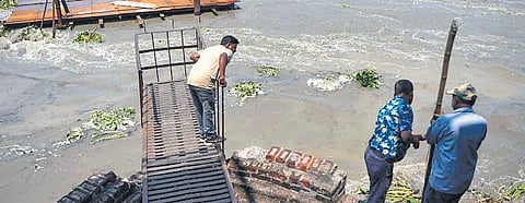 A study has found ‘minimum environment flow’ in the river below desired levels