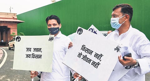 Arrives in Parliament on Tuesday as Congress MP Deepender Hooda demonstrates against the farm laws | PTI