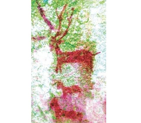 One of therock arts at Medikonda,Jogulamba Gadwal district,found by members of the Kotha Telangana Charitram, depicts a stag with antler.