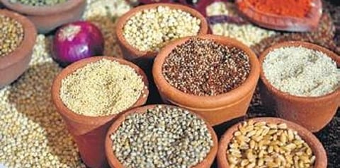UN has declared 2023 as the International Year of Millets. (File photo | EPS)