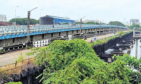 The old Venduruthy Bridge which awaits repairs is filled with creepers and bushes | A Sanesh