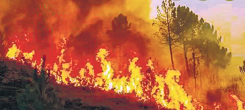 Representational Photo (File photo| PTI)