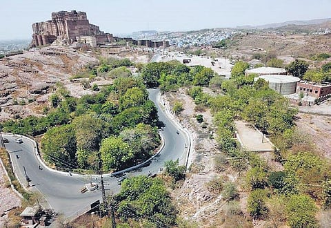 What used to be a barren expanse near Jodhpur’s Mehrangarh Fort, now has over 50,000 trees thanks to the efforts of Prasannapuri Goswami. (Photo | Express)