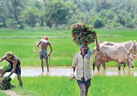 Representational Image (File Photo | Express)