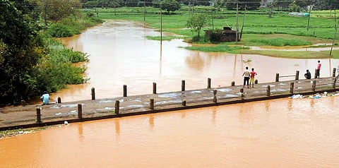 Markandeya river on the outskirts of Karnataka. (Photo | Express)