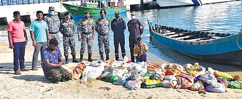 The Coast Guard personnel with the seized sea cucumber at Mandapam fishing harbour | Express
