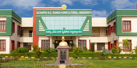 Acharya NG Ranga Agricultural University