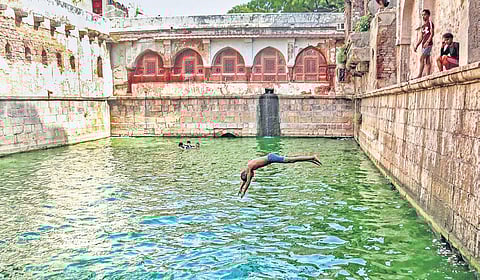 A boy jumps into the water of a baoli at Dargah Hazrat Nizamuddin to beat the heat in New Delhi on Wednesday | pti