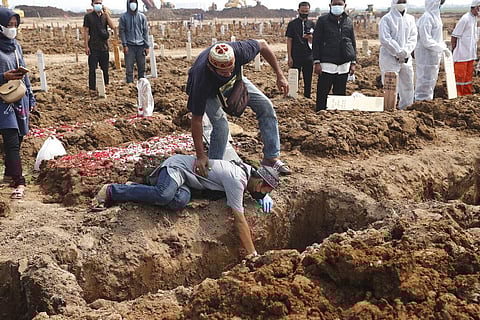 A man falls to the ground as he weeps during the burial of a relative who died of COVID-19, at the Rorotan Cemetery in Jakarta, Indonesia, Wednesday, July 7, 2021. (Photo | AFP)