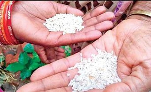 Image used for representation only. (File Photo)