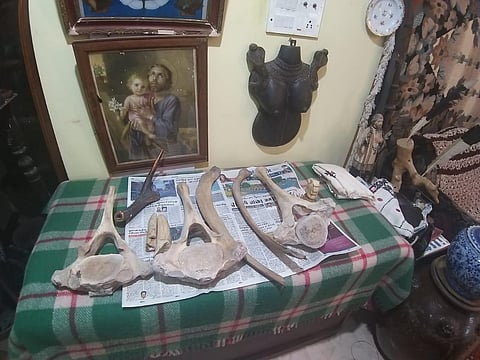 Elephant ivory products on display that were seized during a joint raid conducted by WCCB and state forest officials (Photo | Special arrangement)
