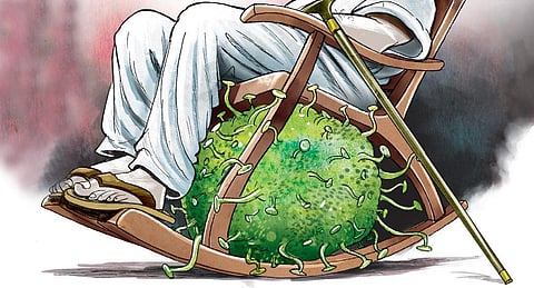 Jessica Metcalf, an associate professor at Princeton University, US, noted that this prediction is likely to hold only if reinfections produce only mild disease. (Express Illustration)