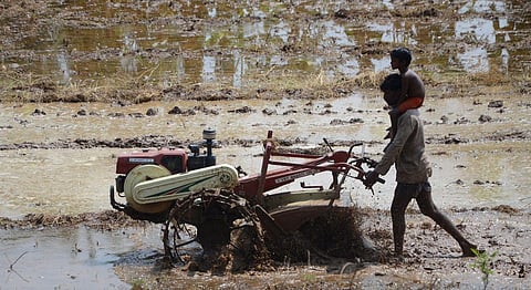 For representational purpose. (Photo | EPS)