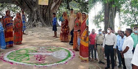 Locals pose near a rangoli under a decades old Banyan tree in Champaran (L); District administration officials take stock of the initiative to protect old trees. (Photos | Express)