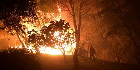 Thousands evacuated as 'fierce' wildfire spreads in southern France's Saint-Tropez
