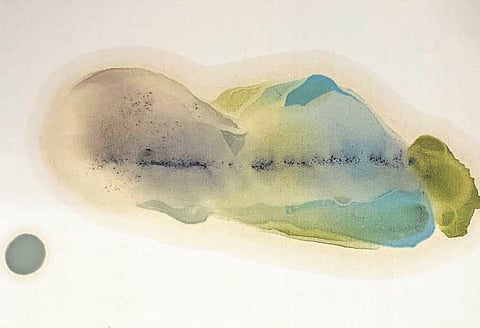 Imandar’s oil on canvas works from Reduction