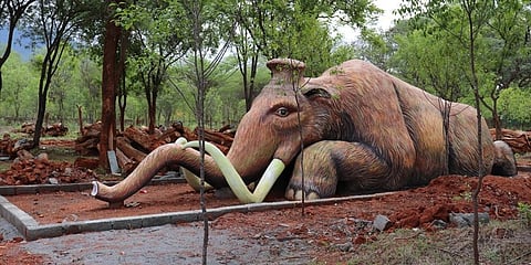 The 2000-sq ft centre offers information about the evolution of African and Asian elephants. (Photo | Express)