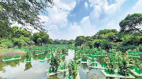 The rejuvenation is done through a combination of wetland and aeration. (Photo | EPS)