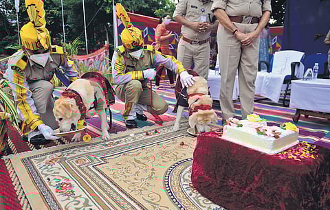 (Above) Badal and Raji leaving on a sweet note.