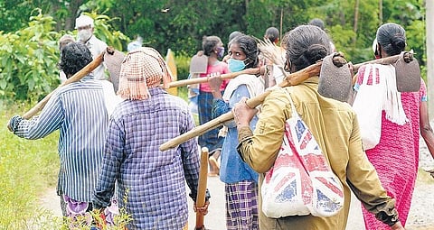 A group of MGNREGS workers returning home after a day’s work at Parayathukonam near Chirayinkeezhu in Thiruvananthapuram | file photo