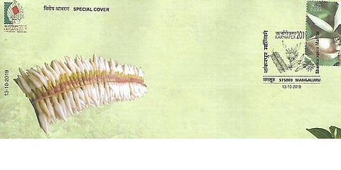 Pic of special postal cover of GI tagged Shankarapura Mallige which was released on October 13, 2019. (Photo | Express)