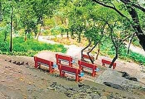 Green Belt Park in Banjara Hills.