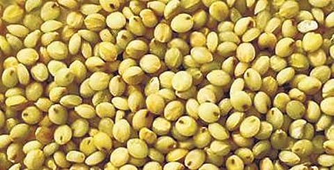 The best of browntop