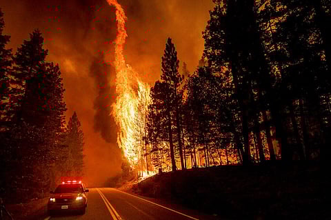 Flames leap from trees as the Dixie Fire jumps Highway 89 north of Greenville in Plumas County, California (Photo | AP)