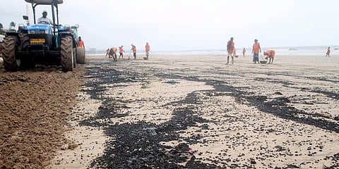 A large amount of dark-coloured greasy oil balls (tarball) was found deposited along a long stretch of the Juhu beach in Mumbai. (Photo | ANI)