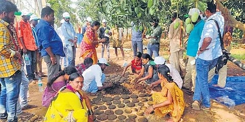 Kollapur Farmers Producer Company Limited has been helping scores of farmers in distress for quite some time now, with support from the State government and financial institutions. (Photo | Express)