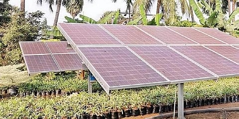 Representational Image (Photo | Express)