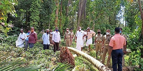 Residents and along with the forest department staff at a farm land where Vinayaga uprooted a tree near MTR recently.