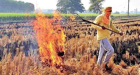 Stubble burning in Punjab and Haryana is expected to start around September 20 which mostly goes up to November end.