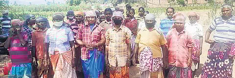 Women of Kuthapanchan village involved in works under MGNREGS | express