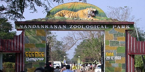 Nandankanan Zoological Park.
