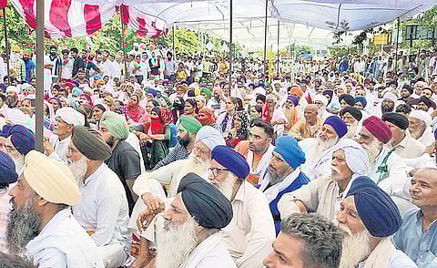 Farmers during their sit-in protest in Karnal on Thursday. (Photo | PTI)