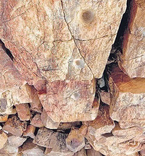 A view of neolithic era grooves at Pedapalugurallagutta in Puttangondi of Adicharla mandal in Nalgonda